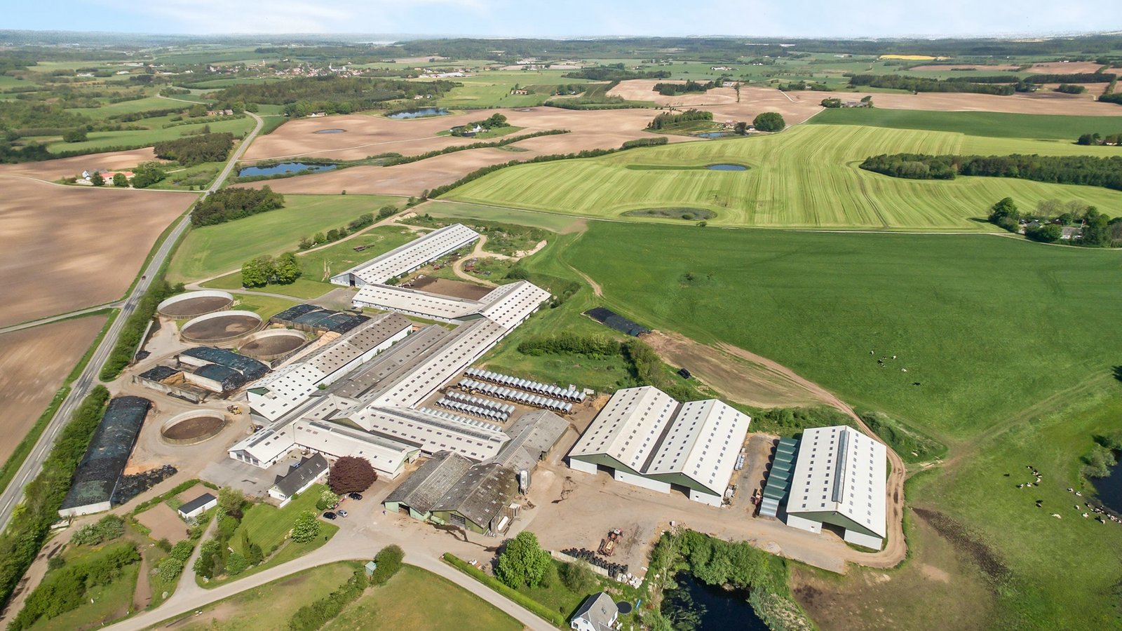 Dänemark: 1000-Hektaren Konkurs-Betrieb zu verkaufen - bauernzeitung.ch