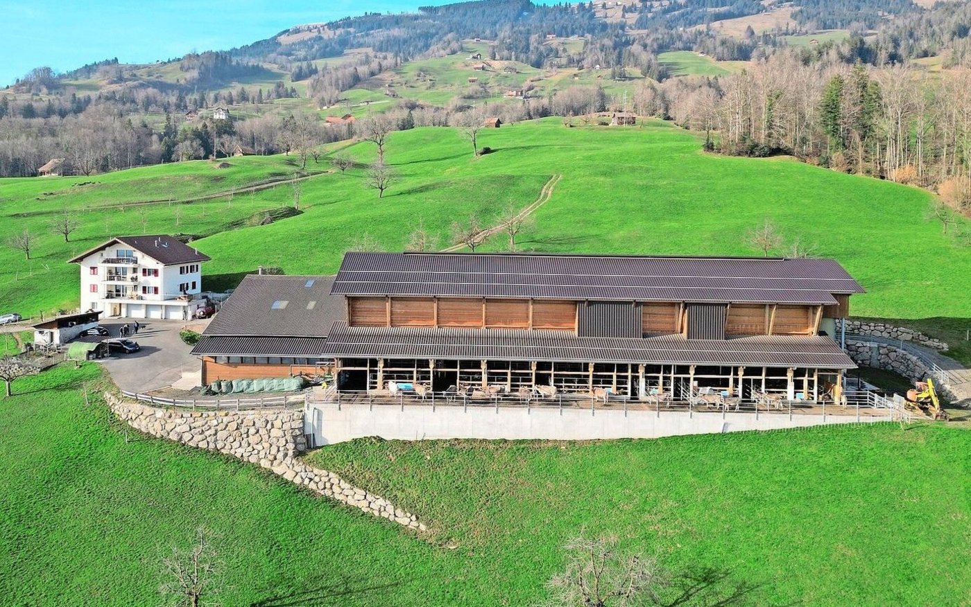 Die Aussicht vom Auslauf des fünfjährigen Stalls muss den Vergleich mit keiner Wohnterrasse scheuen. 