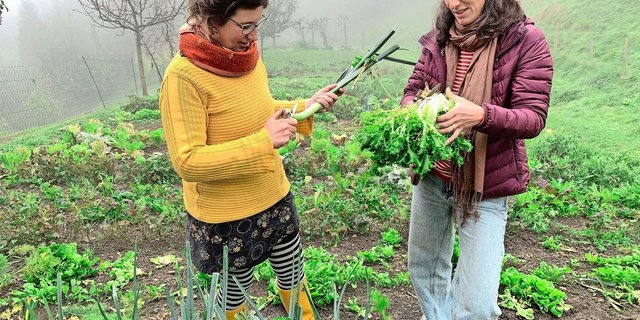 Madeleine Michel (l.) und Olivia Stafflage in ihrem Selbsterntegarten auf der Summerweid in Sarnen. Sie bieten ihr Konzept für weitere Interessierte an. 