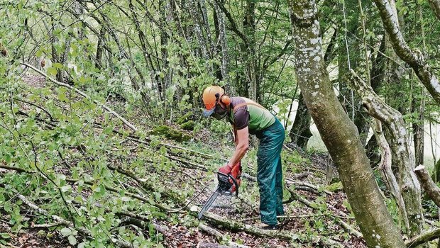 Die Plätze in den Holzerntekursen sind begehrt, denn ab dem Jahreswechsel werden sie zum Holzen für Dritte Pflicht. Bezüglich der Lernenden bestehen aber noch offene Fragen.