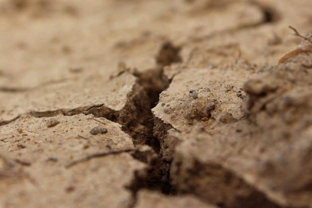 Die Frauen im ländlichen Raum wären vom CO2-Gesetz unterschiedlich betroffen. Die Massnahmen zum Klimaschutz hätten aber vorwiegend positive Folgen, so der SBLV. (Bild klimkin / Pixabay) 