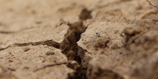 Die Frauen im ländlichen Raum wären vom CO2-Gesetz unterschiedlich betroffen. Die Massnahmen zum Klimaschutz hätten aber vorwiegend positive Folgen, so der SBLV. (Bild klimkin / Pixabay) 