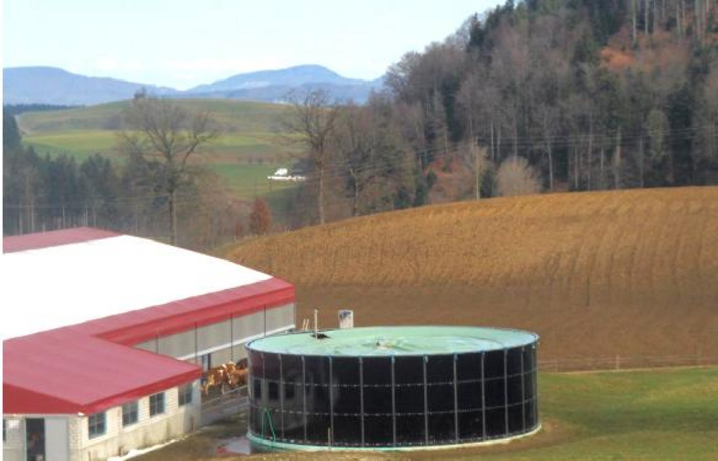 Neben der Abdeckung der Güllelager soll auch die Abschaffung der Toleranzgrenze die Emissionen limitieren. (Bild Archiv) 