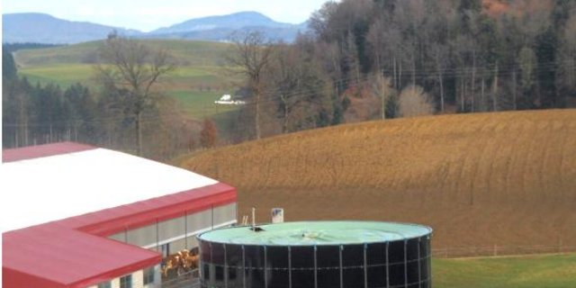 Neben der Abdeckung der Güllelager soll auch die Abschaffung der Toleranzgrenze die Emissionen limitieren. (Bild Archiv) 