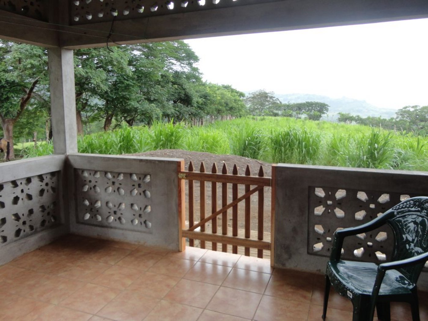 Die Verandatüren sind wichtig: Jetzt können die Hunde nicht mehr Darios Spielzeug stibitzen. (Bild: Mirka Lötscher)