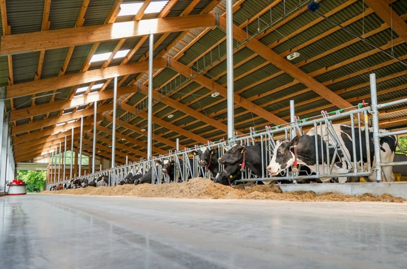 Die Fütterung kann mit dem Milchharnstoffwert optimiert werden. (Bild Fotolia)