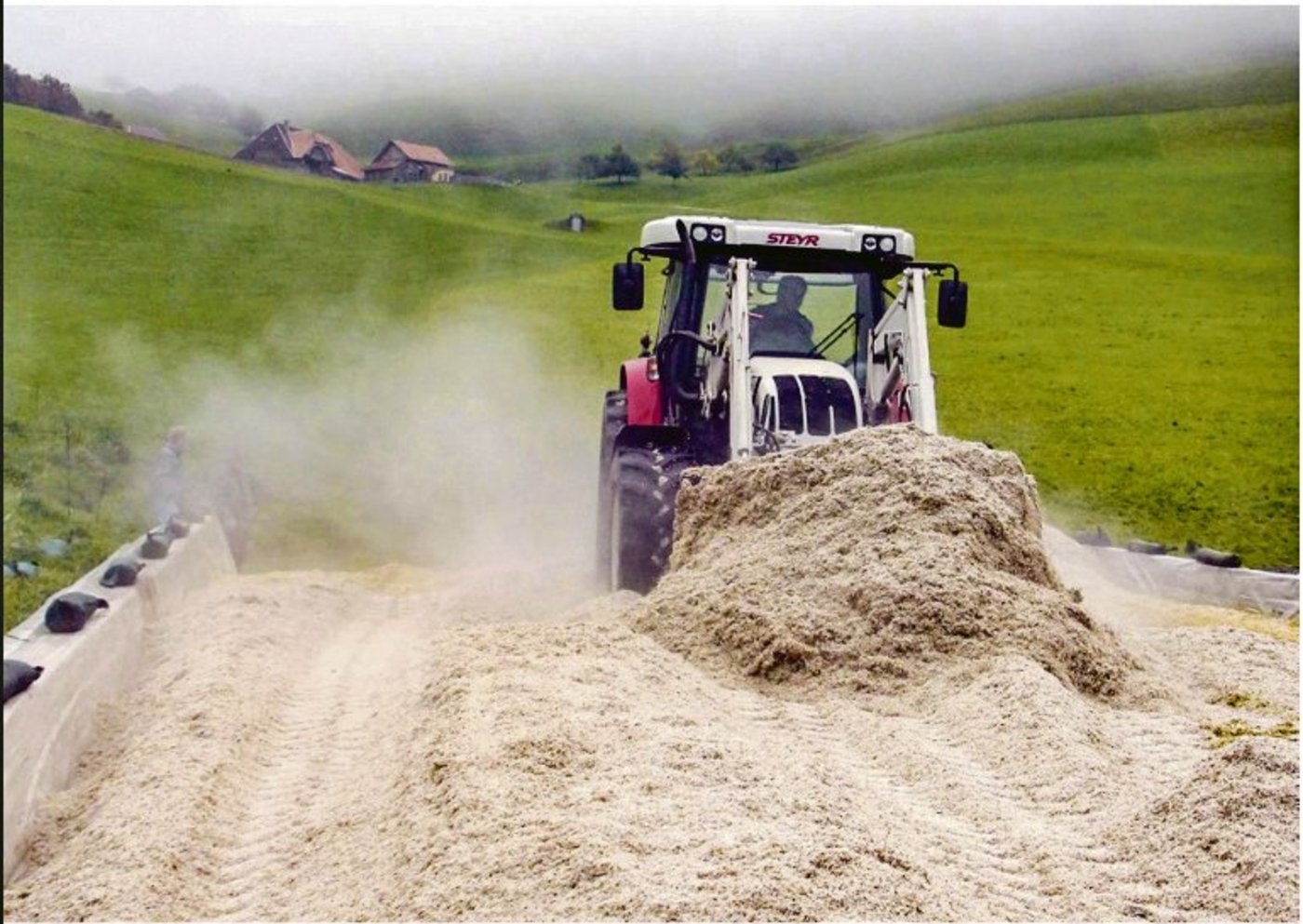 Zuckerrübenschnitzel gibt es in verschiedenen Formen: Lose, zum Einsilieren, in Ballen, aber auch Trockenschnitzel oder auch Schnitzel, die melassiert sind.(Bild Ueli Wyss, Agroscope)