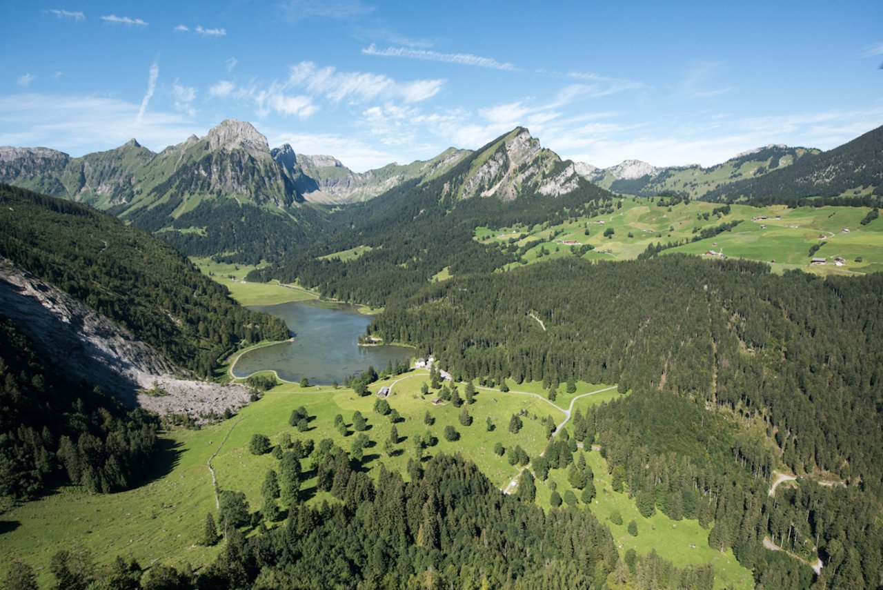 Mosaik aus Wald, Weide und Mähwiesen im Kanton Glarus. (Bild: Samuel Trümpy)