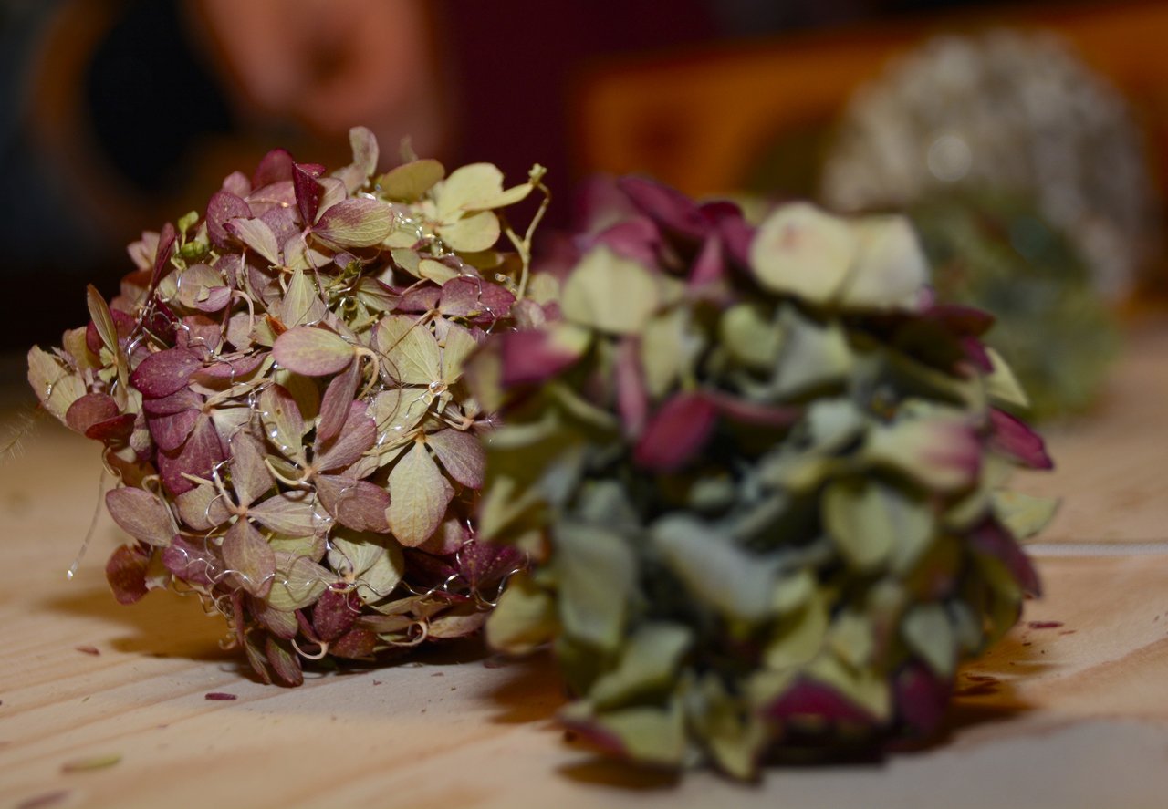 Aus trockenen Hortensienblüten und etwas Heissleim entstehen in Sekundenschnelle filigrane Kugeln. (Bilder Andrea Gysin)