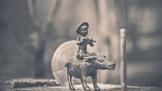 Schon seit Urzeiten reitet der Mensch auf Kühen und Ochsen. Noch heute ist das Bild eines Kuhreiters vielerorts ein alltäglicher Anblick. (Bild Pixabay)