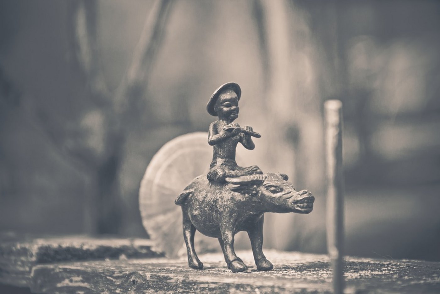 Schon seit Urzeiten reitet der Mensch auf Kühen und Ochsen. Noch heute ist das Bild eines Kuhreiters vielerorts ein alltäglicher Anblick. (Bild Pixabay)