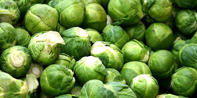 Bei Rosenkohl scheiden sich die (kulinarischen) Geister. (Bild: Rüdiger Wölk)