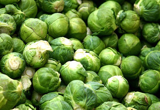 Rosenkohl ist Geschmackssache Bei Rosenkohl scheiden sich die (kulinarischen) Geister. (Bild: Rüdiger Wölk)