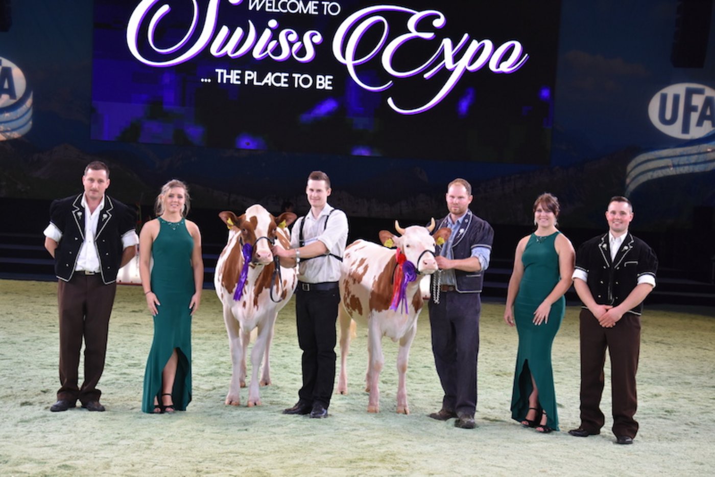 Swiss-Fleckvieh-Rinderchampion (r.) wurde Frivolo Beaute, André und Marc Raboud, Grangettes. Reserve wurde hier Wakis Edison Xenova,Lukas Wampfler, Höfen bei Thun. (Bilder Peter Fankhauser)