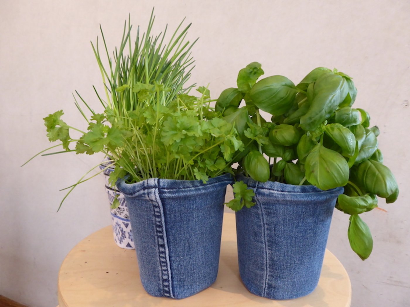 Pflanzentöpfe mit Stoff von alten Hosen überzogen.