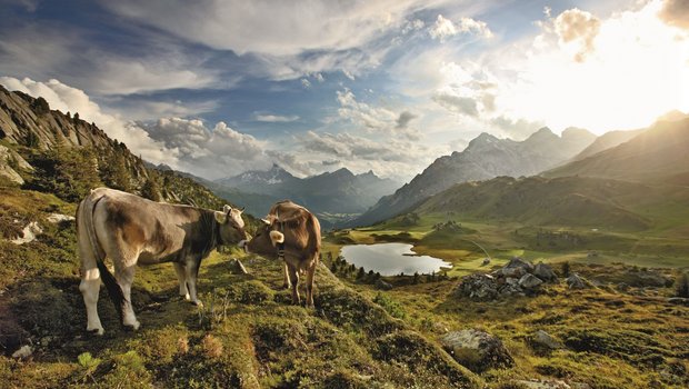 Naturpärke (hier der Naturpark Beverin) bestechen mit viel Natur und schönen Landschaften. (Bild Schweiz Tourimus/bafu)