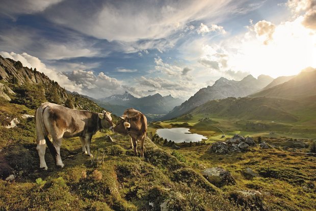 Naturpärke (hier der Naturpark Beverin) bestechen mit viel Natur und schönen Landschaften. (Bild Schweiz Tourimus/bafu)