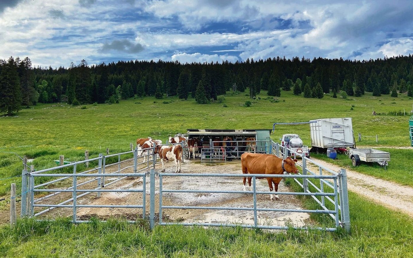 Die einfache Melkanlage mit Generator auf der Sommerweide: Hier planen Taginis, einen Stall mit Melkstand zu erstellen.