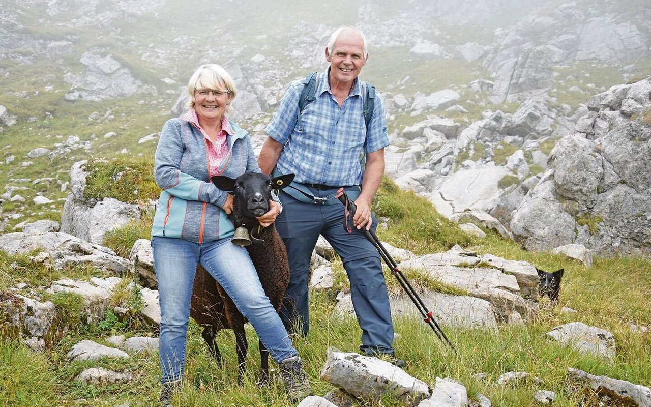 Brigitte und Hans Ryter schauen zusammen mit Florian Wyss zu den 600 Schafen auf der Alp Tälli. 