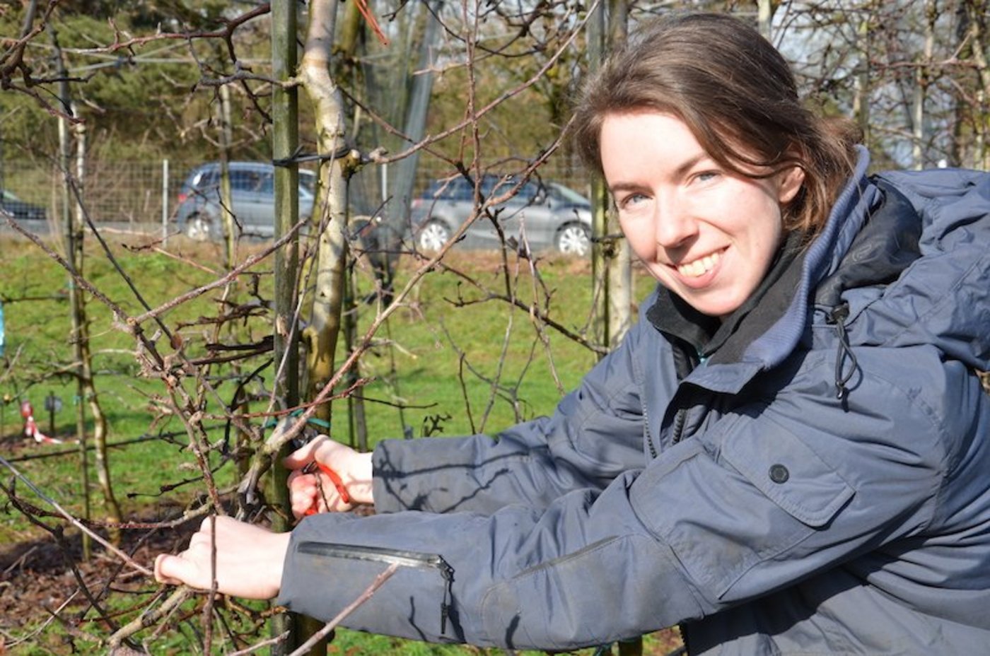 Ronja Ottink war in den Niederlanden als Gemüsegärtnerin tätig, bis sie ihre Leidenschaft für den Obstbau entdeckte. (Bild und Video Marianne Stamm)