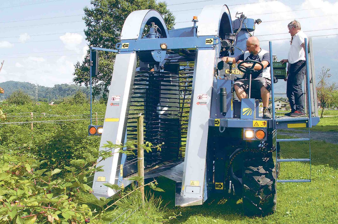Die neue Beeren-Erntemaschine auf ihrer Jungfernfahrt. Verdunova-Geschäftsführer Beni Dürr (rechts) überwacht persönlich den Ersteinsatz von Anfang Woche. (Bild bey)