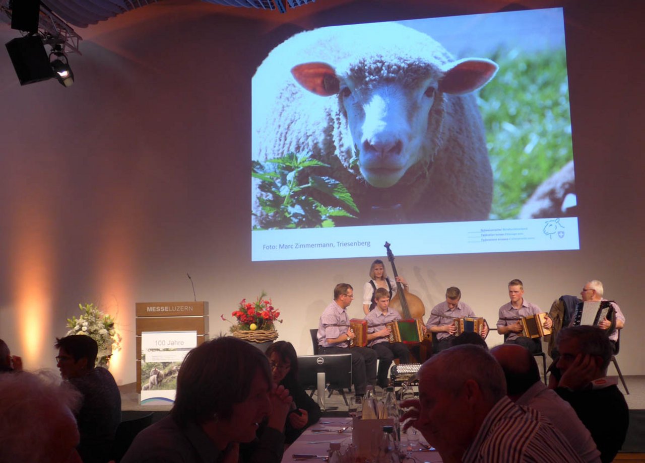 Schöne Stimmung mit Schaf im Hintergrund: Jubiläumsanlass des Zuchtverbands. (Bild akr)