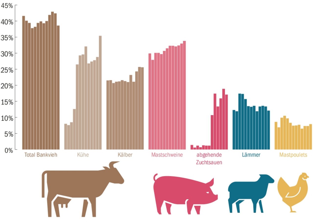 Stockender Labelfleisch-Absatz. Wie die Prozentanteile an den total geschlachteten Tieren von 2006 bis 2018 zeigen, sind Entwicklungen in verschiedene Richtungen zu beobachten. (Grafiken BauZ, Quelle STS)
