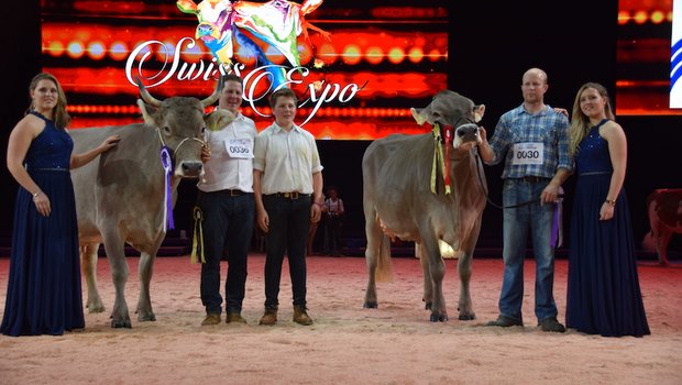 Grand Champion OB: Voran Tamara (links) von Paul Korrodi aus Schönenberg LU und die Reserve Buchers Valido Livia von Thoams Bucher aus Neuenkirch LU. Bei der Schöneuterwahl tauschten diese beiden Kühe die Plätze. (Bild jsb)