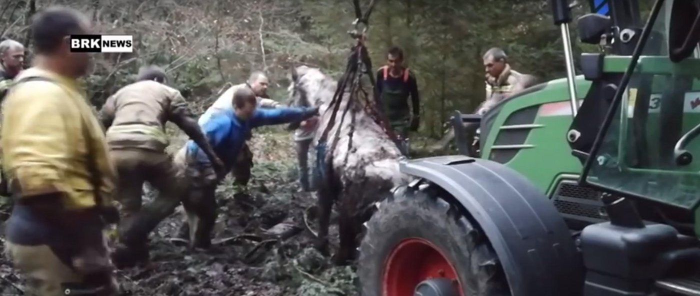Mit Fendt und Frontlader gelang es den Rettern, die Stute aus ihrer misslichen Lage zu befreien. (Bild Screenshot BRK-News/Youtube)