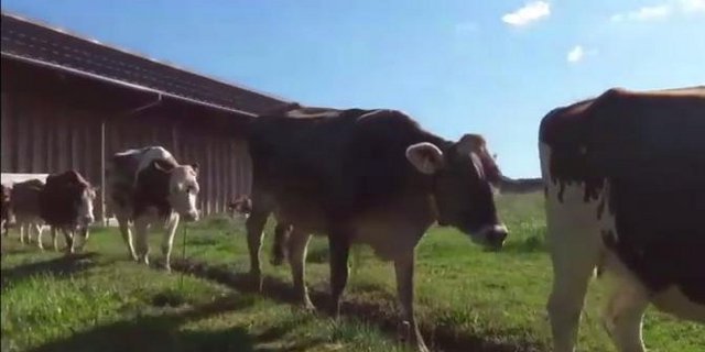 (Screenshot Youtube)