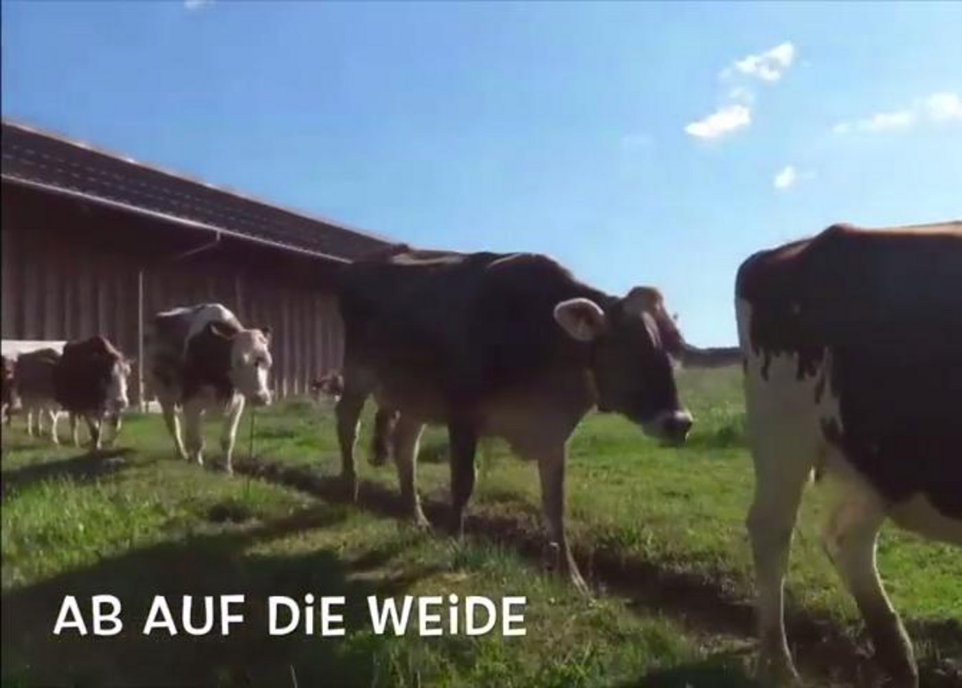 (Screenshot Youtube)