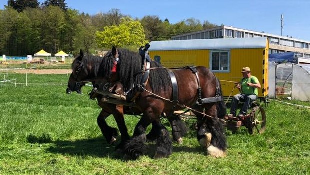 Zu sehen gab es etwa auch einen Mähwettbewerb zwischen Pferd und Traktor. (Bild jba)