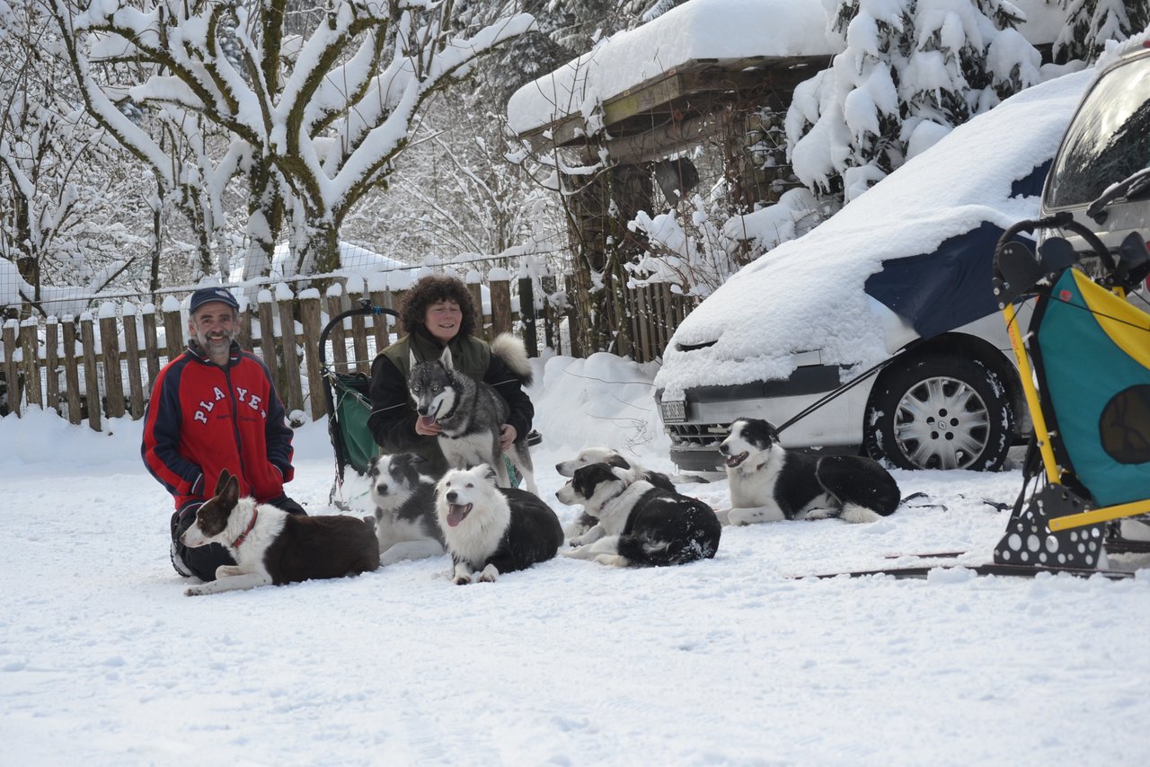 Der Schnee verleiht dem Schlittenhundesport seine Ursprünglichkeit. Leider sind schneereiche Winter zum Training immer seltener. (Bild zVg)