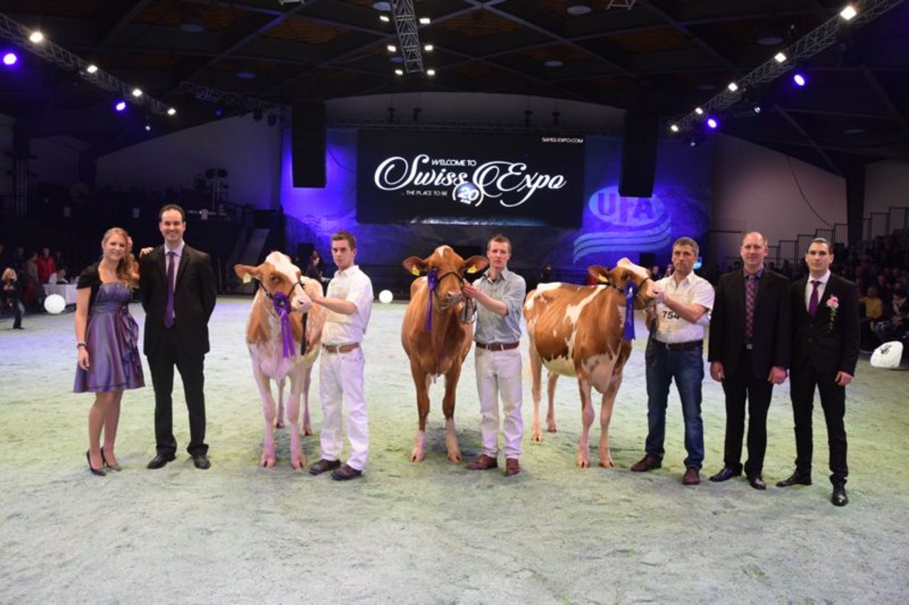 Junior Champion (links): Kolly JL-Barbwire Conchita, Jean-Louis und Lionel Kolly, Pont-La-Ville. Reserve Junior Champion (Mitte): GS Alliance Lotus O'Kiki-Red, Edwin und Matthias Steiner, Wilen bei Wollerau. Mention Honorable (rechts): La Waebera Atshott Shilow, Clément Michel und Söhne, Le Mouret. 