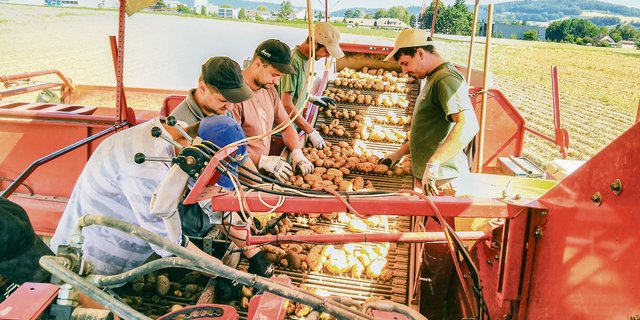 «Saisonniers sind ein wichtiges Element unseres Betriebs. Ohne sie wäre Gemüsebau unmöglich», sagt Beat Meyer.(Bild Beat Meyer)