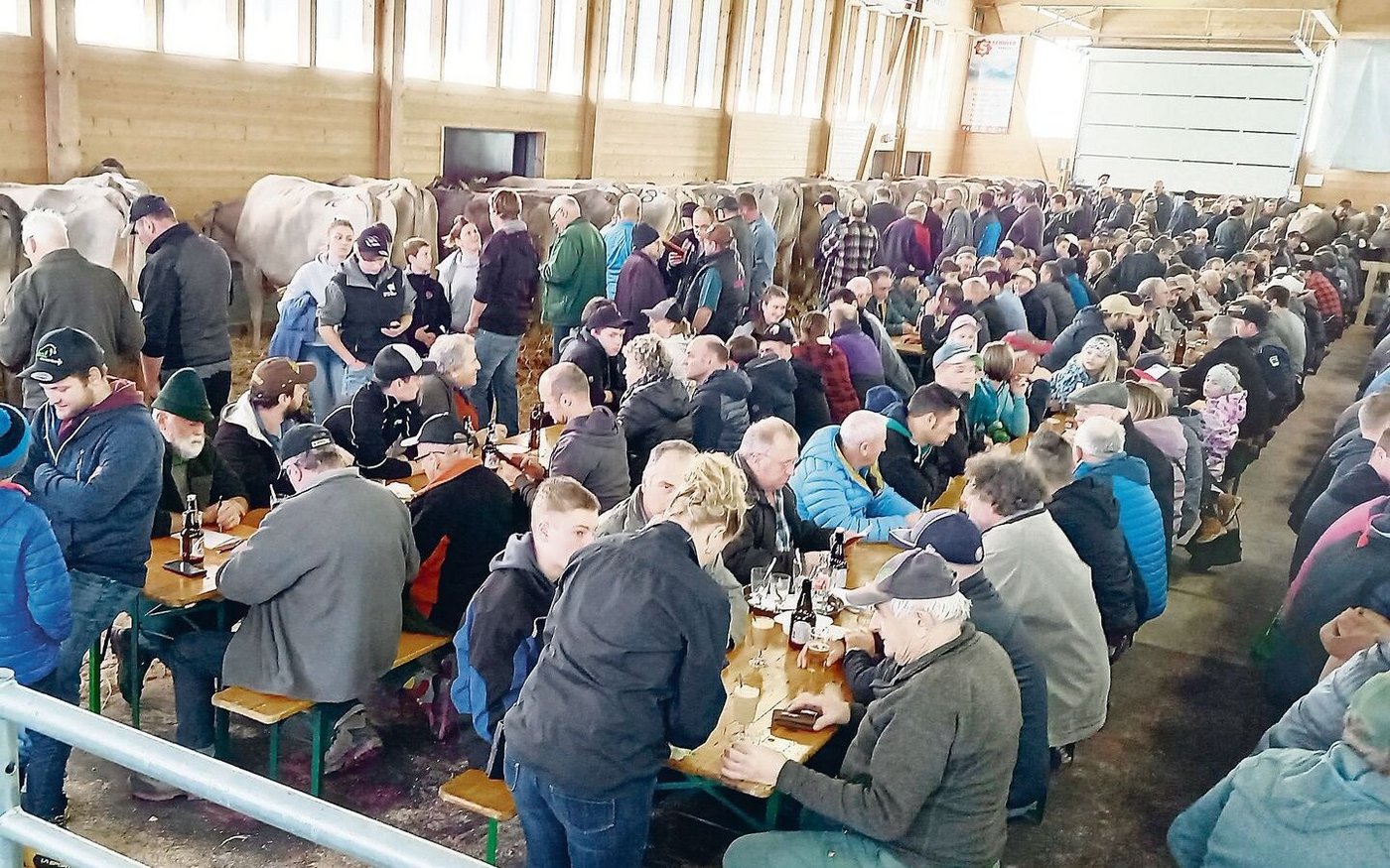 In der Festwirtschaft der SViAG-Auktionen herrscht jeweils eine gute Stimmung, was sich auch positiv auf den Absatz auswirken kann.