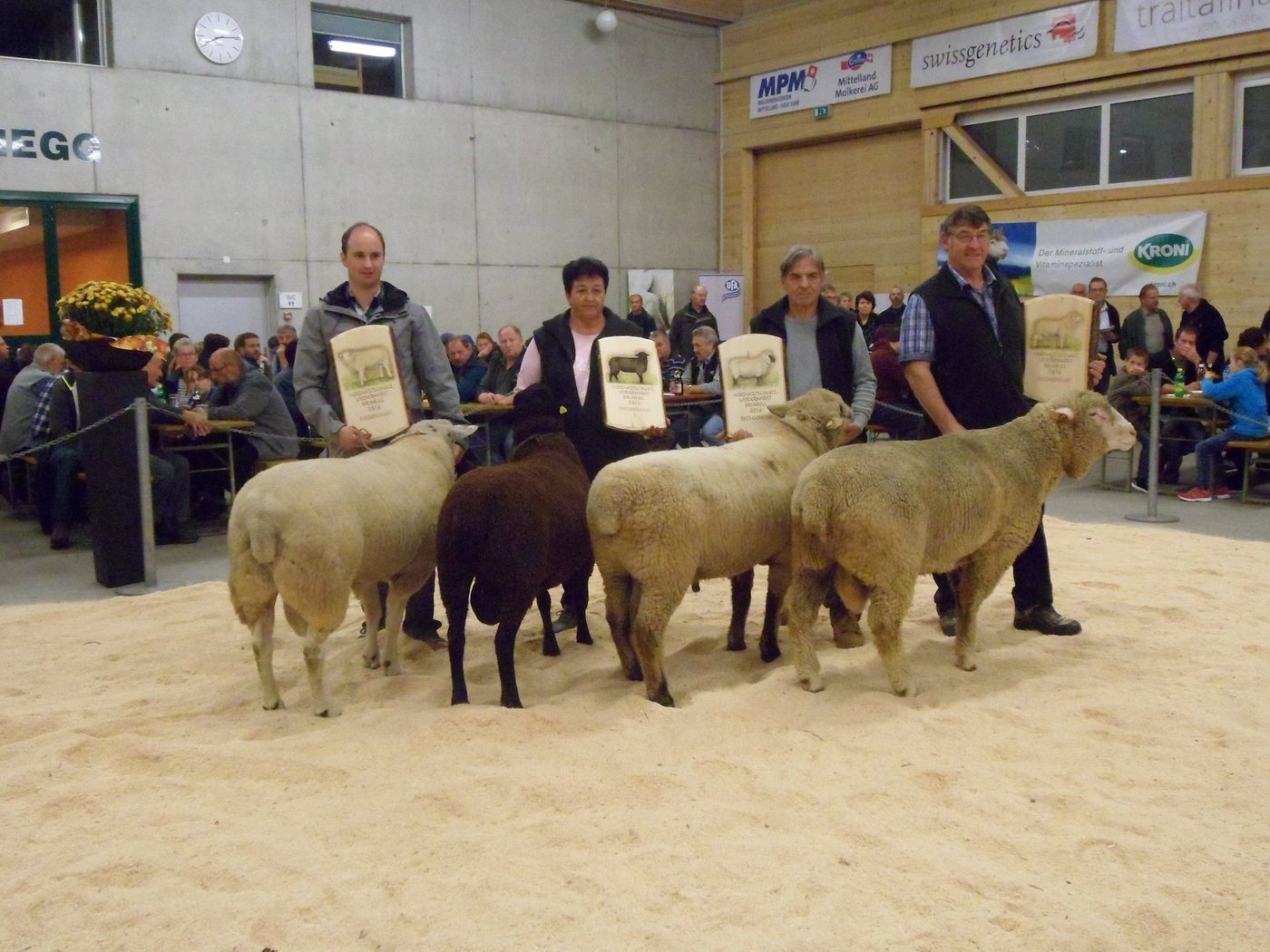 Die Rassensieger des 14. Nordwestschweizerischen Widdermarktes.  (Bild Martina Häfliger)