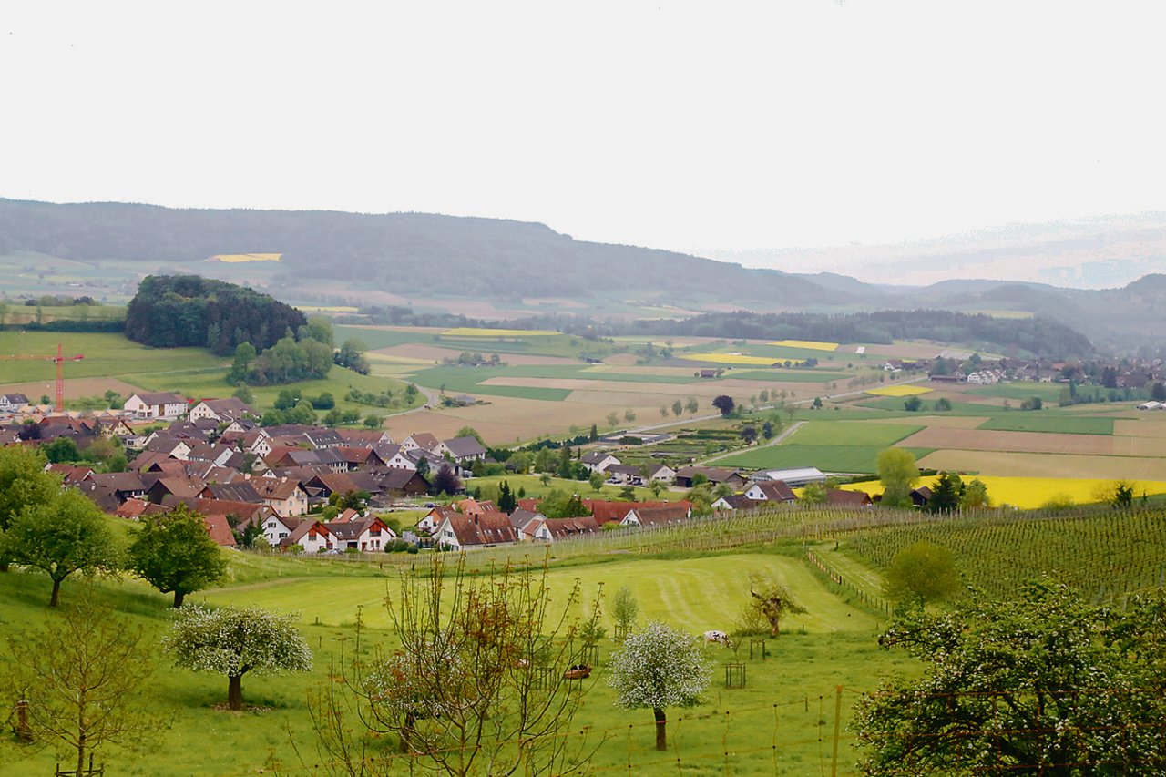 Das Flaachtal im zürcherischen Weinland sieht nicht nur grün aus. Hiesige Bauern haben sich auch dem Klimaschutz verschrieben. (Bild lid)