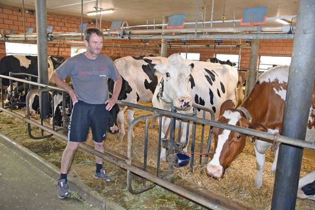 Martin Fankhauser aus Burgistein ist ein leidenschaftlicher Züchter. Ein Teil seiner Kühe istlaut Tierschutz aber zu gross und die Standplatzbreite in seinem Stall dafür zu klein. (Bilder Peter Fankhauser)