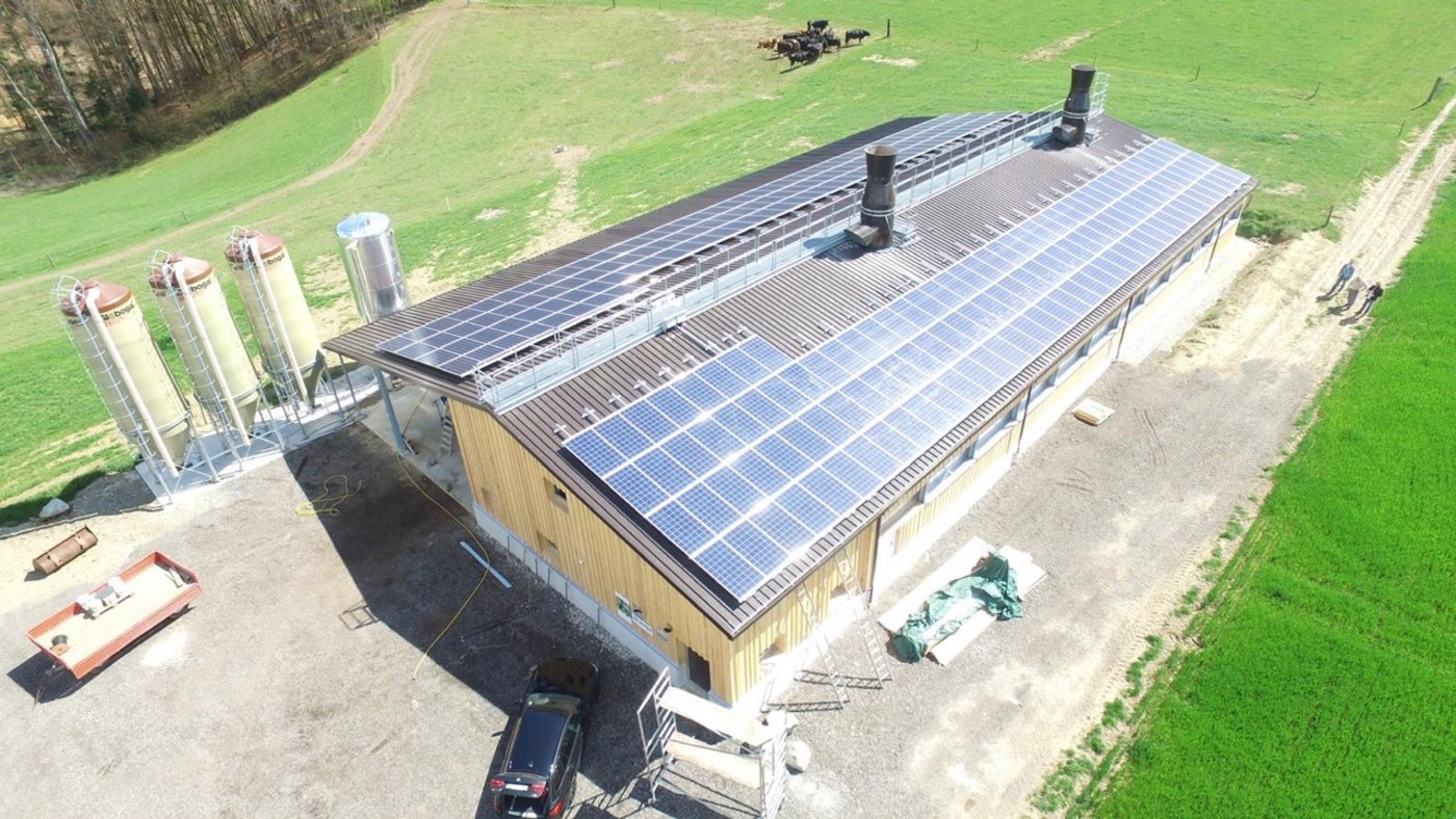 Vogelperspektive: Die Pouletmasthalle ist die erste ihrer Art, die mit einem Minergie-A-Zertifikat ausgezeichnet ist. (Bild zVg)