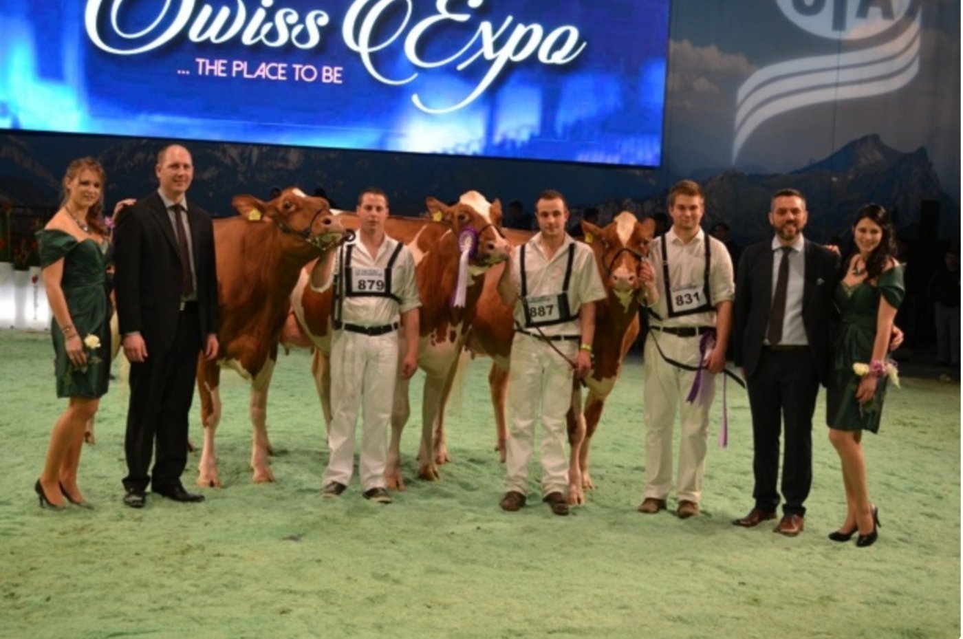 Intermediate Champion Wahl (v.r.n.l.): Londaly Armani Lovely, Gobet-Vallélian Association, la Torur-de-Treme  Reserve Intermediate Champion: La Bérole Amor Rose, Markus Gerber, Bellelay  Mention Honorable: La-Préla Absolute Fibie, Paul-Henri und Lucien Demierre, St. Martin.