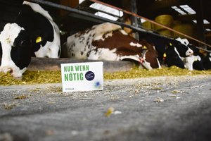 Auf den richtigen Einsatz von Antibiotika («Nur wenn nötig») sollte diese «Werbe-Pillenpackung» im Rahmen der Antibiotika-Bewusstseins-Woche 2017 hinweisen. (Bild Jasmine Baumann)