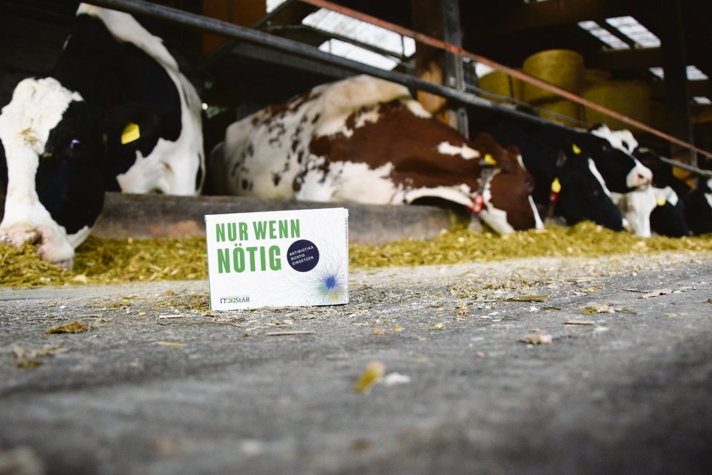 Auf den richtigen Einsatz von Antibiotika («Nur wenn nötig») sollte diese «Werbe-Pillenpackung» im Rahmen der Antibiotika-Bewusstseins-Woche 2017 hinweisen. (Bild Jasmine Baumann)