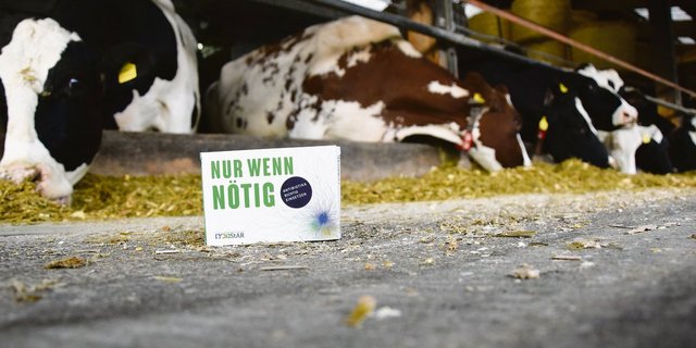 Auf den richtigen Einsatz von Antibiotika («Nur wenn nötig») sollte diese «Werbe-Pillenpackung» im Rahmen der Antibiotika-Bewusstseins-Woche 2017 hinweisen. (Bild Jasmine Baumann)