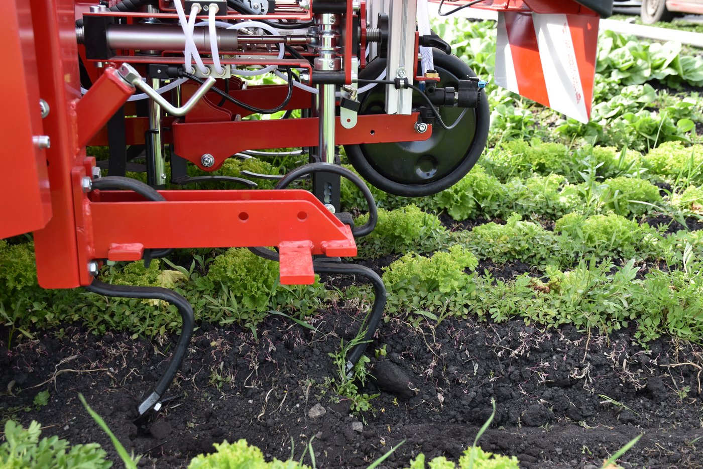  Dadurch richten sich die Spritzdüsen so aus, dass die Kulturpflanzen erkannt und zielgerichtet und abhängig von ihrer Grösse behandelt werden.