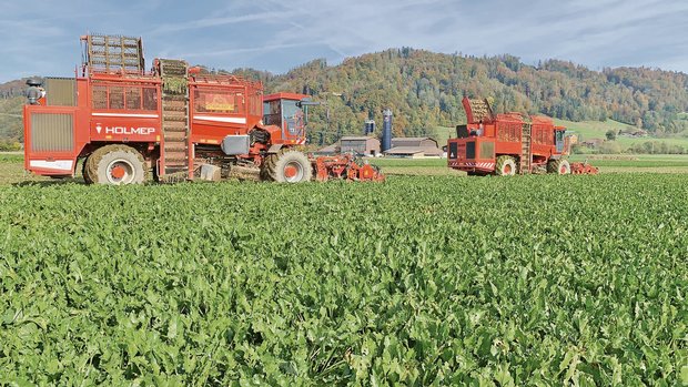 Auf dem Eschenhof von Franz Gassmann wurde in diesem Jahr noch die konventionelle Rübe angebaut. Der Landwirt stellt nun auf Bio um und testet dabei eine ganz neue Methode im Rübenanbau. (Bilder zVg)