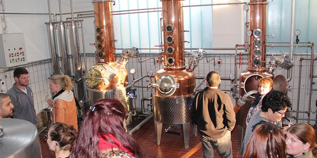 Viele Besucher waren noch nie zuvor in einer Brennerei. (Bild SOV)