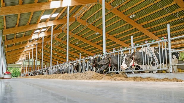 Nicht nur in grossen neuen Milchviehställen kommt viel Technik zum Einsatz. Futter-Zuschieber wie links im Bild trifft man auch auf kleineren Betrieben vermehrt an. (Bild Fotolia)