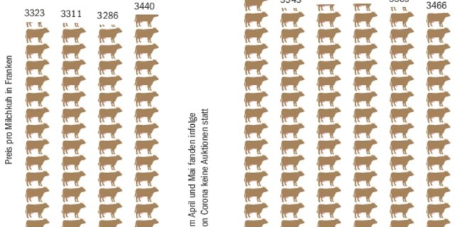 Die 81 an öffentlichen Auktionen versteigerten Milchkühe galten an den wenigen im November durchgeführten Auktionen im Schnitt 103 Franken weniger als im Oktober. (Quelle Umfrage BauZ)
