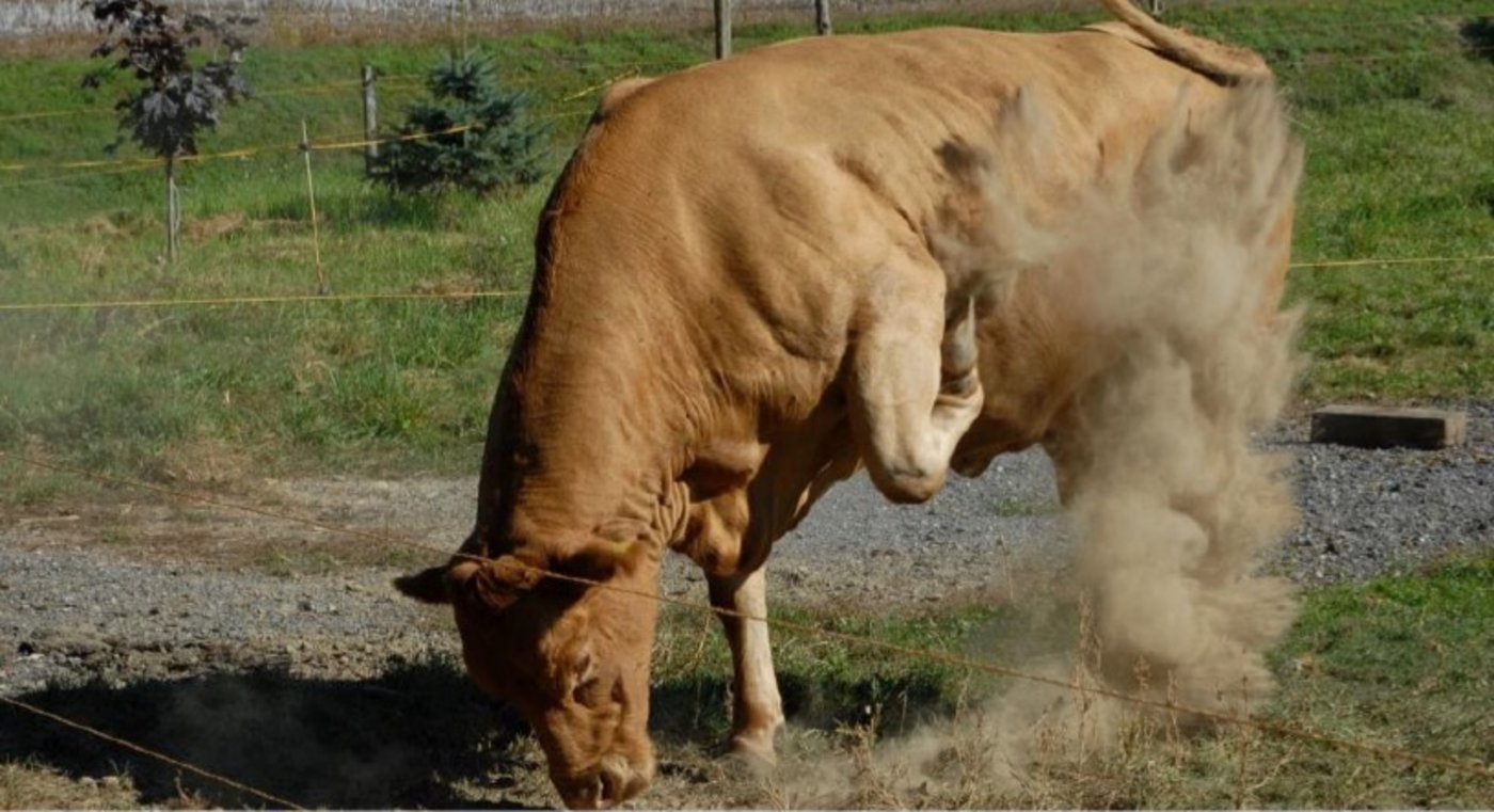 Was tun, wenn es brenzlig wird? Auf dem Lehrpfad in Solothurn finden Wanderer antworten. (Bilder BUL)